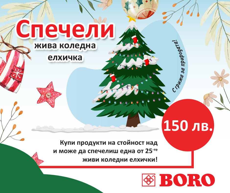 СПЕЧЕЛЕТЕ жива коледна елхичка!